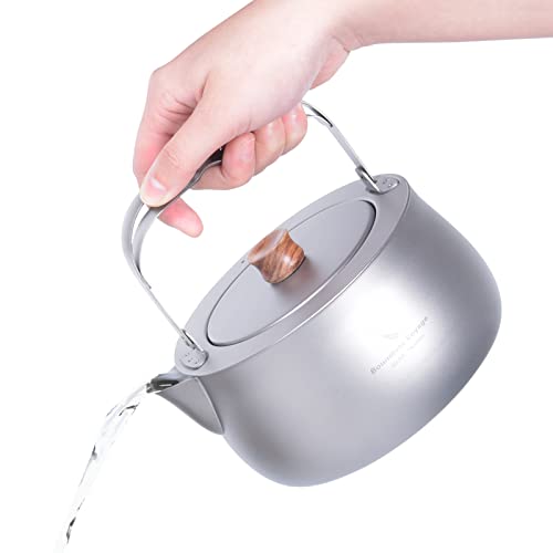 iBasingo 800ml Titan Kessel mit Filter Camping Teekannen für Losen Tee Outdoor Picknick Garten Kaffee Wasser Krug mit Klappgriff Leichtes Tragbares Geschirr Kochfeld Kompatibel Wasserkocher Ti3131D von iBasingo