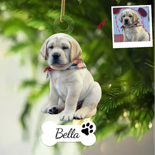 iDIY Personalisierte Weihnachtskugeln - Personalisierter Weihnachtsschmuck - Weihnachtskugeln Foto selbst gestalten - Christbaumkugel mit eigenem Foto - Hund iDIY Personalisierte Weihnachtskugeln - Personalisierter Weihnachtsschmuck - Weihnachtskugeln Foto selbst gestalten - Christbaumkugel mit eigenem Foto - Hund von iDIY