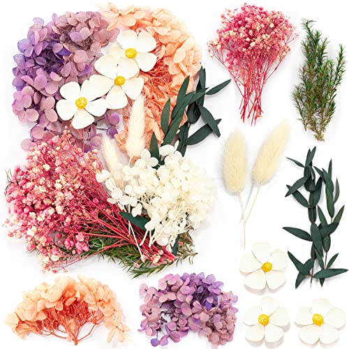 iDattel Natürliche Getrocknete Blumen,Blumen Natürliche Gemischte,DIY Natürliche Getrocknet Blumen Set für Kunst Basteln DIY Harz Scrapbooking Handwerk Karten Machen(Rosa weiße Rose von iDattel