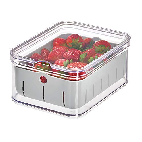 iDesign Aufbewahrungsbox für den Kühlschrank oder Küchenschrank, Kühlschrank Box aus Kunststoff mit Siebeinsatz, Kühlschrank Organizer für Obst und Gemüse, durchsichtig/grau von InterDesign