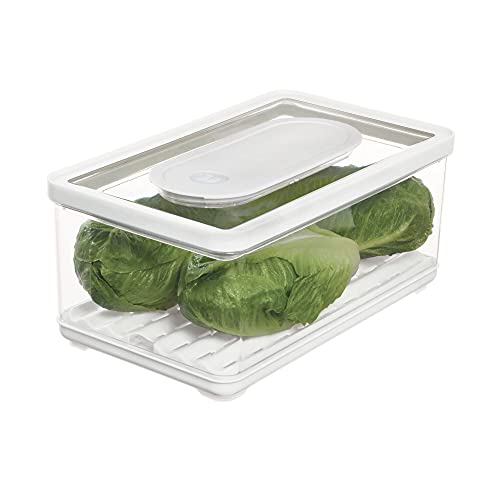 iDesign Vorratsbehälter mit Deckel, großer Kühlschrankorganizer für Obst & Gemüse mit Luftregulierung transparent/weiß/grün von iDesign