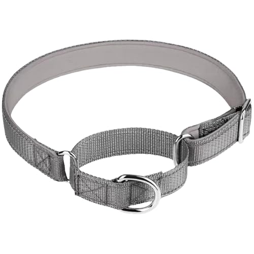 IEFIEL Robustes Martingal Halsband mit Reflektorstreifen Verstellbares Anti Zug Trainingshalsband mit Metallring Grau L von iEFiEL