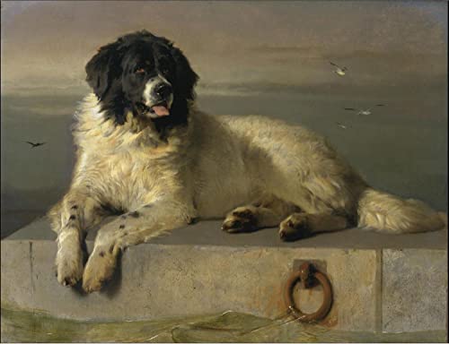 A Distinguished Member of the Humane Society, Edwin Landseer von iEnjoy