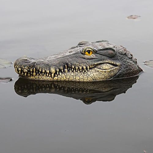 iFCOW Schwimmender Krokodilkopf, Teich-Alligatorkopf, Lockvogel, Poolzubehör, detaillierter gefälschter Alligatorkopf, erschrecken Reiher Ente weg von iFCOW