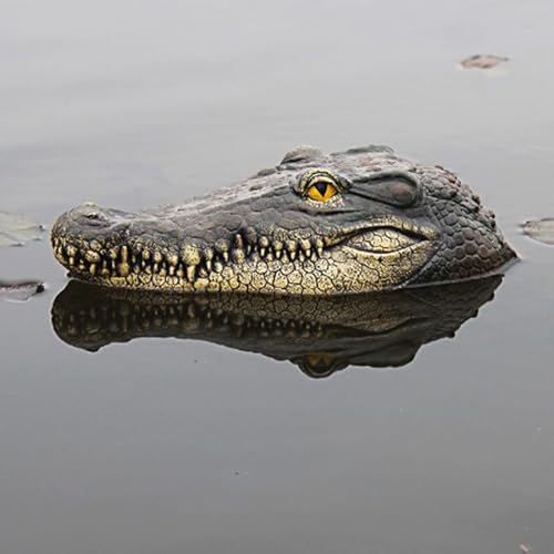 iFCOW Schwimmender Krokodilkopf, Teich-Alligatorkopf Lockvogel Poolzubehör detaillierter gefälschter Alligatorkopf erschrecken Reiher Ente Weg iFCOW Schwimmender Krokodilkopf, Teich-Alligatorkopf Lockvogel Poolzubehör detaillierter gefälschter Alligatorkopf erschrecken Reiher Ente Weg von iFCOW
