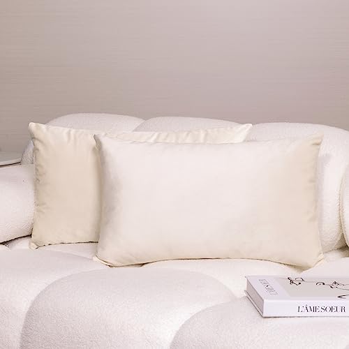 iHeroo 2er Set SAMT Kissenbezüge, Superweich Kissenhülle 30x50cm, Glänzende Dekorative Sofakissen, Kuschelige Kissenbezug, Couchkissen für Sofa, Schlafzimmer, Reis Weiß von iHeroo