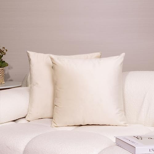 iHeroo 2er Set SAMT Kissenbezüge, Superweich Kissenhülle 40x40cm, Glänzende Dekorative Sofakissen, Kuschelige Kissenbezug, Couchkissen für Sofa, Schlafzimmer, Reis Weiß von iHeroo