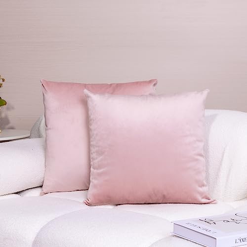 iHeroo 2er Set SAMT Kissenbezüge, Superweich Kissenhülle 40x40cm, Glänzende Dekorative Sofakissen, Kuschelige Kissenbezug, Couchkissen für Sofa, Schlafzimmer, Rosa von iHeroo