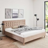 Bett Taupe 160x200 cm & 180x200 cm in modernem Design mit Bettkasten von iMöbel