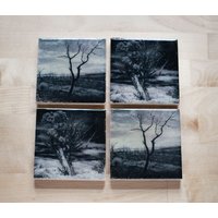 Baum Untersetzer-Set | 4 Steinuntersetzer, Schwarz Und Weiß Fine Art Nature Home Decor Baum Untersetzer-Set | 4 Steinuntersetzer, Schwarz Und Weiß Fine Art Nature Home Decor von iNKthePRINT