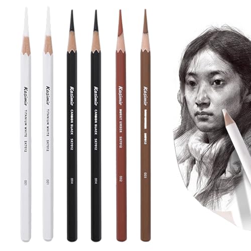 6 Stück Bunte Holzkohlestifte Weiche Holzkohlestifte Skizzieren Highlight Weiß Kohlestifte Bleistift zum Zeichnen Professionelle Zeichenstifte Set Pastell Bleistift zum, Schattieren, Porträt von iNelihoo