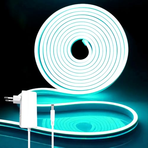 iNextStation LED Strip 5M, 12V Eisblau Neon LED Streifen Dimmbar Wasserdicht Flexibel Neon Led Silikon Leiste Lichtband für Schlafzimmer Innen Aussenbereich Heim Küche Wohnzimmer Deko von iNextStation