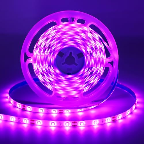 iNextStation LED Streifen Rosa Violett 5M, 12V LED Strip Schneidbar SMD 2835 Lichtband, IP65 Wasserdichtes Lichtleiste LEDs Selbstklebend, für Küche Zimmer Bar Party DIY Deko (Kein Netzteil) iNextStation LED Streifen Rosa Violett 5M, 12V LED Strip Schneidbar SMD 2835 Lichtband, IP65 Wasserdichtes Lichtleiste LEDs Selbstklebend, für Küche Zimmer Bar Party DIY Deko (Kein Netzteil) von iNextStation