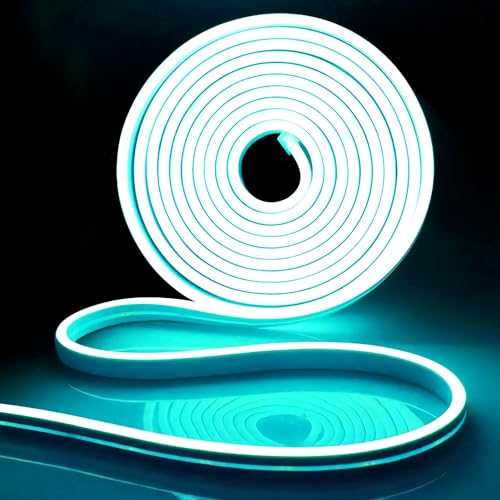 iNextStation LED Strip 5M, 12V Eisblau Neon LED Streifen Wasserdicht Flexibel Led Silikon Leiste Lichtband für Schlafzimmer Innen Aussenbereich Heim Küche Wohnzimmer DIY Deko (Ohne Netzteil) von iNextStation