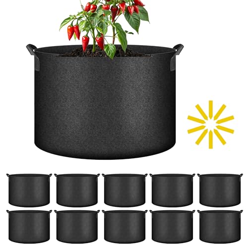 iPower 10 Stück 10 Gallonen Wachstumsbeutel Vliesstoff Töpfe Belüftung Behälter mit Gurtgriffen für Garten und Pflanzen, 10 Gallonen, Schwarz iPower 10 Stück 10 Gallonen Wachstumsbeutel Vliesstoff Töpfe Belüftung Behälter mit Gurtgriffen für Garten und Pflanzen, 10 Gallonen, Schwarz von iPower