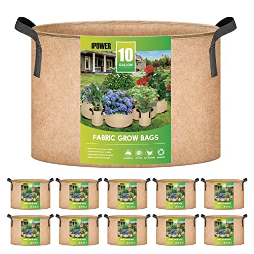iPower Stofftöpfe, robuster Behälter mit Riemengriffen, Gartenarbeit & Pflanzen von Obst, Gallone von iPower