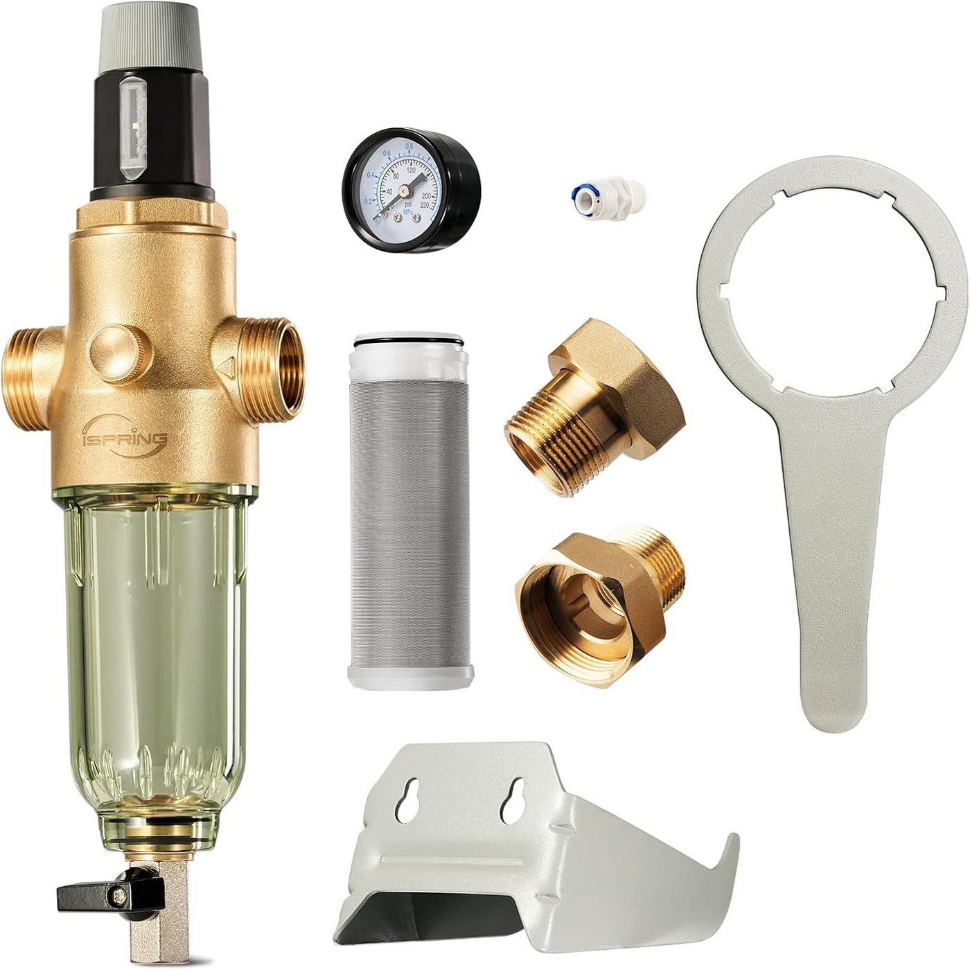 iSPRiNG Rückspülfilter WSP50PRG Rückspülfilter mit Druckminderer & Manometer - 50 Mikron, G1" (1 St) von iSPRiNG