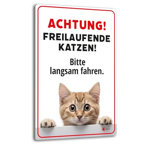 Achtung freilaufende Katzen Hinweis-Schild I Warnschild I Aluverbund I 20 x 30 cm I az_146 von iSecur