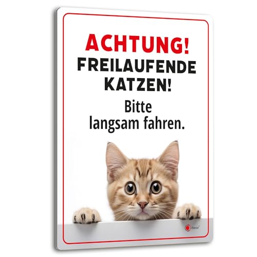 Achtung freilaufende Katzen 30 x 40 cm Hinweis-Schild I Warnschild I Aluverbund I az_147 von iSecur