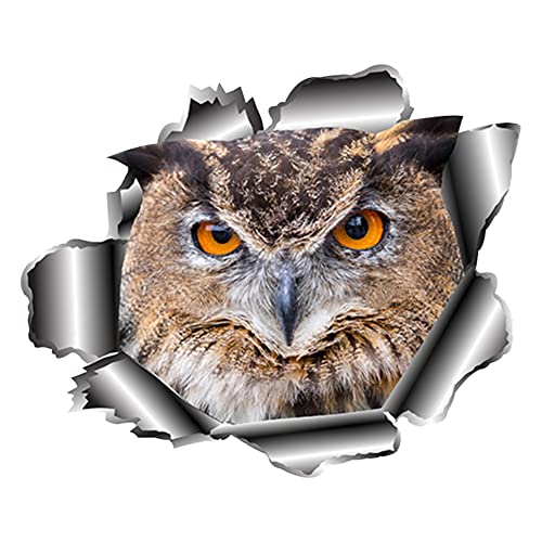 iSpchen Autoaufkleber 3D Eulen lustige aufkleber wasserdicht reflektierende Aufkleber Selbstklebende Vinyl Sticker Auto fenster Stoßfänger Karosserie Styling Dekoration Aufkleber,13x11cm iSpchen Autoaufkleber 3D Eulen lustige aufkleber wasserdicht reflektierende Aufkleber Selbstklebende Vinyl Sticker Auto fenster Stoßfänger Karosserie Styling Dekoration Aufkleber,13x11cm von iSpchen
