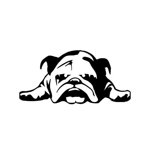 iSpchen Autoaufkleber Bulldogge lustige Aufkleber süße Cartoon Hunde Aufkleber Auto Selbstklebende Vinyl Aufkleber Körper Fenster Stoßstangen Kratzer Sticekr Styling Dekoration Aufkleber von iSpchen