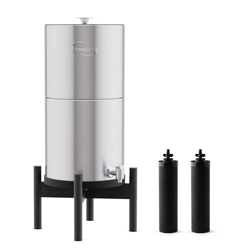 iSpring DGF2-B Schwerkraft-Wasserfiltersystem mit 2 Filterelementen, 3,17 Gallonen, Chlor-Reduktion, tragbarer Wasserfilter für Haus und Party von iSpring