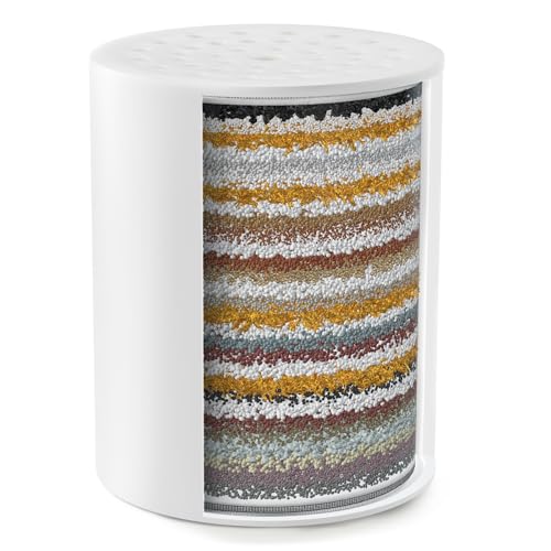 iSpring FSF2 Austauschbarer Filterpatrone, für SF2S Kalkfilter Dusche zur Entfernung von Fluorid und Chlor, weiß von iSpring