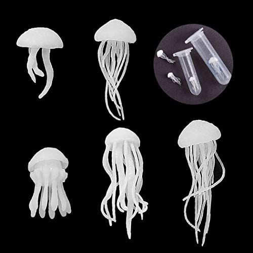 iSuperb 5 Stück Mini Quallen Harz Kristall Epoxy Ozean Quallen Modellierung 3D Stereo Quallen Füllstoff Resin Jellyfish Mold DIY Handwerk Schmuckherstellung Liefert Qualle Füllung (5 Größen) von iSuperb