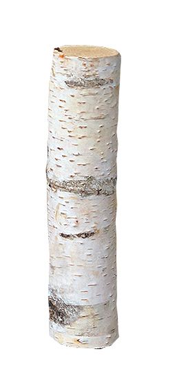 Birkenholzsticks 100% Natur 20 cm von iWerk