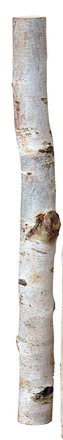 Birkenholzsticks 100% Natur 40 cm von iWerk