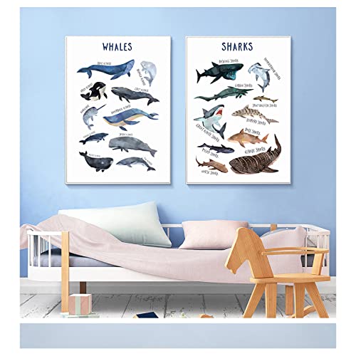 Kind Poster Walhai Meerestier Wand Bilder Kinderzimmer Bilderdruckdruck Bildung Wandbild Bild Nordic Baby Kinderzimmer Dekoration 40x60cmx2 ungerahmt von iYoucase