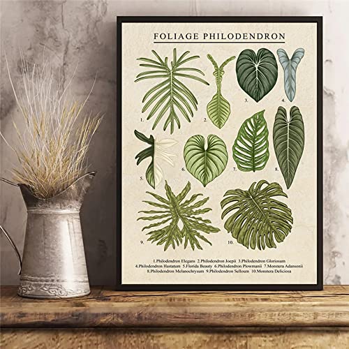 iYoucase Laub Wand Bilder Anthurium Colocasia Alocasia Pflanzen Leinwand Bild Blatt Poster Wandbild Für Wohnzimmer Dekoration Wohnkultur 40x60cm Ungerahmt von iYoucase
