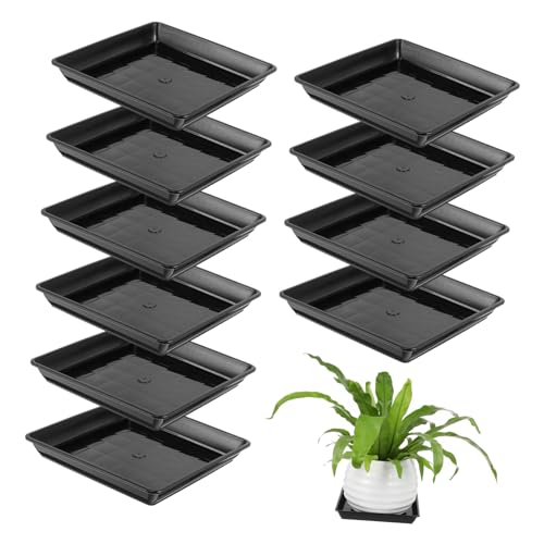 ibasenice 10 Stück Plastik -Chassis Pflanzenschale Zimmerpflanze Pflanzenkabine Untertasse Tablett Pflanzer Wasserfänger Abtropfschalen für Topfpflanzen Square Plant Tably Topfschale Schwarz von ibasenice