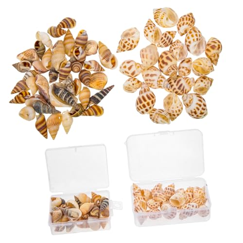 ibasenice 2 Boxen Natürliche Muschel Dekoration für Aquarium DIY Zubehör Fischbecken Conch Schmuck Natürliche Teich deko Leicht Tragbar Haustierfreundlich ibasenice 2 Boxen Natürliche Muschel Dekoration für Aquarium DIY Zubehör Fischbecken Conch Schmuck Natürliche Teich deko Leicht Tragbar Haustierfreundlich von ibasenice