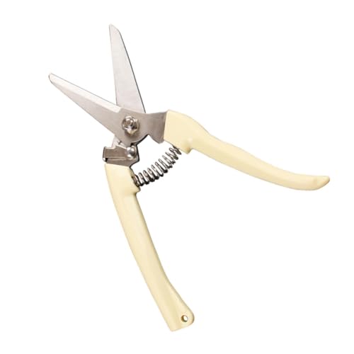 ibasenice 2 Stück Astschneider mit Ergonomischem Griff Professionelle Garten Schere für Präzises Schneiden Geeignet für Arten Pflanzenpflege ibasenice 2 Stück Astschneider mit Ergonomischem Griff Professionelle Garten Schere für Präzises Schneiden Geeignet für Arten Pflanzenpflege von ibasenice