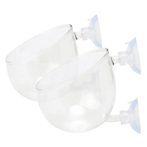 ibasenice 2 Stück Glas Aquarium Pflanztopf mit Saugnapf Transparentes Wasserpflanzen Halter für Süß Salzwasser Fischfutter Halter und Pflanzenbehälter für Aquarien Robust und Langlebig ibasenice 2 Stück Glas Aquarium Pflanztopf mit Saugnapf Transparentes Wasserpflanzen Halter für Süß Salzwasser Fischfutter Halter und Pflanzenbehälter für Aquarien Robust und Langlebig von ibasenice