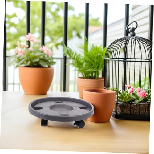 ibasenice 2stücke Rollender Pflanzwagen Rädern Und Bremssystem Runder Untersetzer Aus Kunststoff Für Transport Schwerer Töpfe Sauberes Gießen Und Schutz Für Böden Für Balkone Büros ibasenice 2stücke Rollender Pflanzwagen Rädern Und Bremssystem Runder Untersetzer Aus Kunststoff Für Transport Schwerer Töpfe Sauberes Gießen Und Schutz Für Böden Für Balkone Büros von ibasenice
