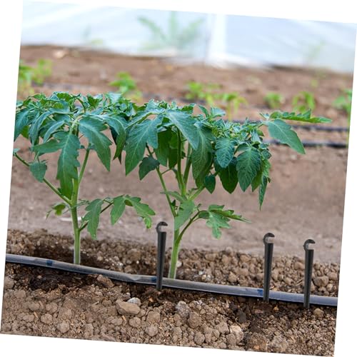 ibasenice 50 Stück Tropfbewässerung Erdspieße Abs Bewässerungsstab Halterung für Garten Tröpfchensystem Einfache Installation Langlebig Feuchtigkeitsbeständig Geeignet für Rasen Beet Gemüse ibasenice 50 Stück Tropfbewässerung Erdspieße Abs Bewässerungsstab Halterung für Garten Tröpfchensystem Einfache Installation Langlebig Feuchtigkeitsbeständig Geeignet für Rasen Beet Gemüse von ibasenice
