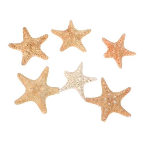 ibasenice 6 Stück Teiliges Natürliche Seesterne Dekoration für Aquarium Leichter DIY Schmuckhalter und Vase Füllmaterial Vielseitiges Meerestier Ornament für Bastelprojekte Zufällige Farbe ibasenice 6 Stück Teiliges Natürliche Seesterne Dekoration für Aquarium Leichter DIY Schmuckhalter und Vase Füllmaterial Vielseitiges Meerestier Ornament für Bastelprojekte Zufällige Farbe von ibasenice