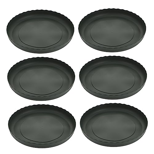 ibasenice 6 Stück Wasserspeicher Topftablett Rundes Tablett Sukkulenten Pflanzgefäß Topftabletts Für Pflanzen Blumentopf Pflanzgefäß Bodentablett Gartenarbeit Blumentopf Basis ibasenice 6 Stück Wasserspeicher Topftablett Rundes Tablett Sukkulenten Pflanzgefäß Topftabletts Für Pflanzen Blumentopf Pflanzgefäß Bodentablett Gartenarbeit Blumentopf Basis von ibasenice