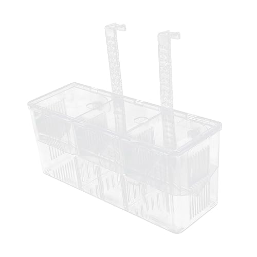 ibasenice Aquarium Zuchtbox für Guppys Aufzucht und Isolierkasten mit Saugnapf Hochtransparent Langlebig für Sichere Aufzucht von Jungfischen im Aquarium von ibasenice