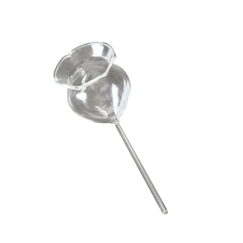 ibasenice Automatisches Bewässerungsgerät Pflanzenglas Bewässerungsgerät Bewässerung Selbst Glas Automatische Bewässerung von ibasenice