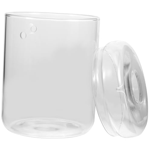 ibasenice Glas Pflanzenterrarium Transparent DIY Terrarium Flasche Mini Pflanzenhalter für Büro Wohnzimmer Balkon Dekoration Kompakte Leicht zu Reinigen Spagnummoos Geeignet von ibasenice