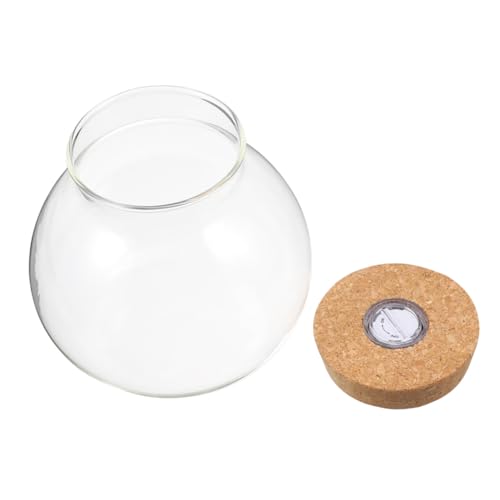 ibasenice Glas-Terrarium mit Korkdeckel Hydroponische Glasvase mit Led-licht Runde Pflanzflasche Luftdichter Pflanzbehälter für Desktop Dekorative Propagationsstation für Zimmerpflanzen ibasenice Glas-Terrarium mit Korkdeckel Hydroponische Glasvase mit Led-licht Runde Pflanzflasche Luftdichter Pflanzbehälter für Desktop Dekorative Propagationsstation für Zimmerpflanzen von ibasenice