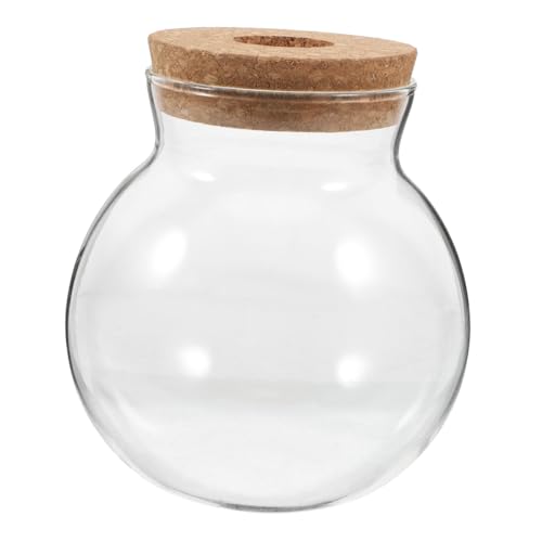 ibasenice Glas Terrarium mit Korkverschluss Runde Pflanzstation für Micro Landschaft Hydrokultur Dekoration Vielseitig als Vase Fischglas Transparente Glasflasche für Pflanzen und Fische von ibasenice