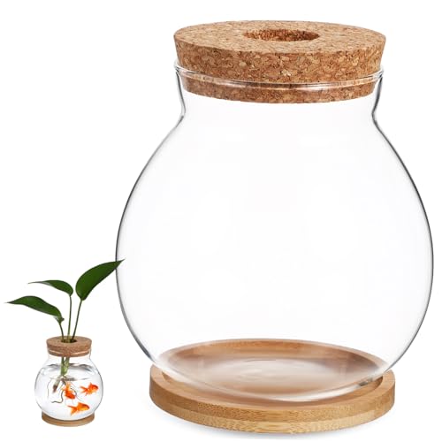 ibasenice Glasfischbehälter für Betta Fische Mittlere mit Holzdeckel und Bambusunterlage Dekoratives Aquarien Terrarium für Hydroponik Pflanzen für Schreibtisch und von ibasenice