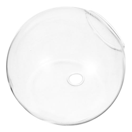 ibasenice Hängender Glas wasserpflanzvase Transparent für Hydroponik und Fischblasen Aquarium Dekor Platzsparend Vielseitig für Wohnzimmer Büro und Gartendeko Klare Wandmontage Pflanztopf ibasenice Hängender Glas wasserpflanzvase Transparent für Hydroponik und Fischblasen Aquarium Dekor Platzsparend Vielseitig für Wohnzimmer Büro und Gartendeko Klare Wandmontage Pflanztopf von ibasenice