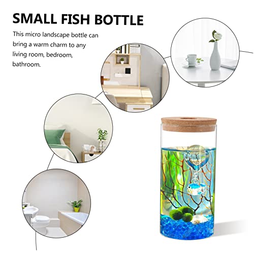 ibasenice Hochborosilikat Terrariumflasche Robustes DIY Micro Landschaftsgefäß für Moospflanzen Vielseitig Verwendbar für Zimmer Büro Glatte Oberfläche Kratzfrei Langlebig ibasenice Hochborosilikat Terrariumflasche Robustes DIY Micro Landschaftsgefäß für Moospflanzen Vielseitig Verwendbar für Zimmer Büro Glatte Oberfläche Kratzfrei Langlebig von ibasenice