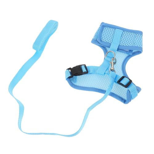 ibasenice Hühnergeschirr mit Leine Verstellbares Hühner Geschirr für Spaziergänge Atmungsaktiv Hen Walking Traction Rope Hühnervogel Zubehör für Outdoor Training ibasenice Hühnergeschirr mit Leine Verstellbares Hühner Geschirr für Spaziergänge Atmungsaktiv Hen Walking Traction Rope Hühnervogel Zubehör für Outdoor Training von ibasenice