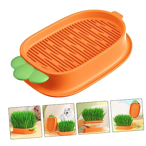 ibasenice Hydroponische Katzengras Pflanzbox Soilless Katzenminze Anzuchtset für Haustiere Leichtes Design Einfach zu Reinigen für Zuhause und Indoor Outdoor Pflanzen und Praktisch von ibasenice